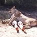 Christopher Fairless - Facebook