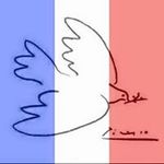 Christophe Falbo - @falbo.christophe - Instagram