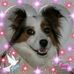 Christa Falkenhagen - Facebook