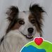 Christa Falkenhagen - Facebook