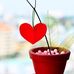 Christin Falkenhagen - Facebook