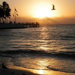 Chris Falkowski - @chrisfalkowski1 - Instagram