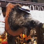 Chris Fallen - @fallen.chris - Instagram