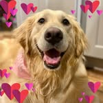 Chris Faller - @puggerpoo - Instagram