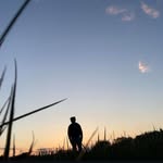 Chris Fallon - @chris_p.bacon776 - Instagram