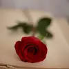 Chris Fallon - @chrisfallon257 - TikTok