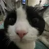Chris Fama - @chris.fama6 - TikTok