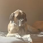 Christian Faragher - @faragherchristian - Instagram