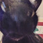 Chris Farah - @chr_frh - Instagram