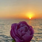Chris Farel - @farel.chris - Instagram