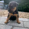 chris.fareham - @chris.fareham - TikTok