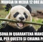 Christian Farinelli - Facebook