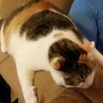 Chris Farrington - @farrington478 - Instagram