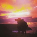 Chris Farrow - @farrowchris8 - Instagram