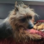 Chris Farthing - @cfarthing14 - Instagram