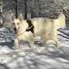 Chris Faure - @chris.faure - TikTok