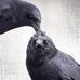 Chris Feeney - Facebook