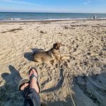 Chris Fehse - @rumbalotte1 - Instagram