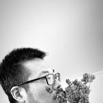 Chris Fei - @chris_fei_akl - Instagram