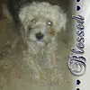 christinafeik - @christinafeik - TikTok