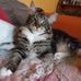 Christian Feilen - Facebook