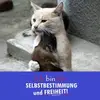 Christian Feiler652 - @christianfeiler2 - TikTok