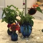 Christine Feinstein - @ceefein - Instagram