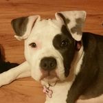 Chris Ferree-Thalheimer - @cthalheimer13 - Instagram