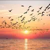 Juan Carlos Gonzalez - @chris.flinn.g0 - TikTok