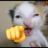 im EM pibell - @christian.florio2 - TikTok