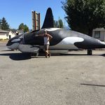 Chris Foreman - @chrisroadsideoddities - Instagram
