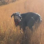 Chris Frame - @chris61frame - Instagram