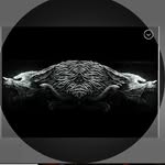 Chris Franks - @cmf236382 - Instagram