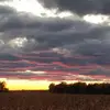 Chris Frasier805 - @chrisfras33 - TikTok
