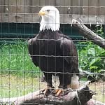 Chris Friedel - @chris.friedel1 - Instagram