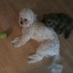 Chris Fullmer - @chris.fullmer53 - Instagram