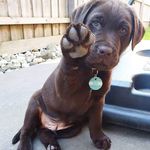 Chris Allen Funnell - @chrisallenfunnell - Instagram