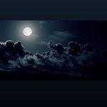 Chris Gaba - @gabachris - Instagram