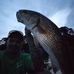 Chris Gabbert - Facebook