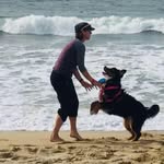 Chris Gabe - @chrisdogsitter - Instagram