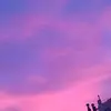 chris gains - @chris.gains19 - TikTok