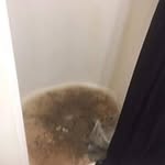Chris Gains - @chris.gains.3152 - Instagram