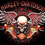 Chris Gains - @chrisgains33 - Instagram