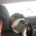 Christian Gajda - Facebook