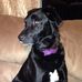 Christine Gajda - Facebook