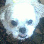jackie - @christine_gajda - Instagram