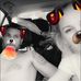 Chris Gal - Facebook
