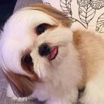 Chris Galang - @chrisgalang222018 - Instagram