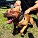 Chris Galati - Facebook
