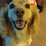 Chris Galati - @chris.galati.944 - Instagram